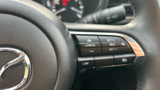 Mazda CX-30 2.5 e-Skyactiv G MHEV [140] Homura 5dr Petrol Hatchback